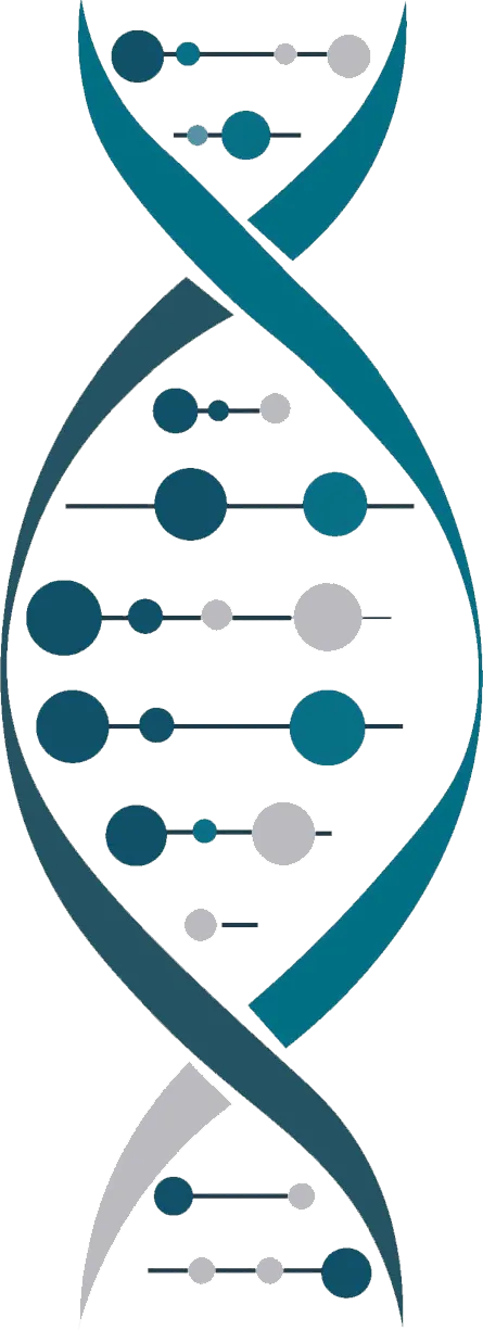 DNA Helix