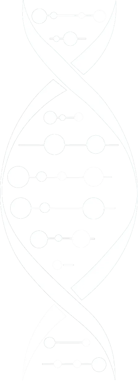 DNA Helix